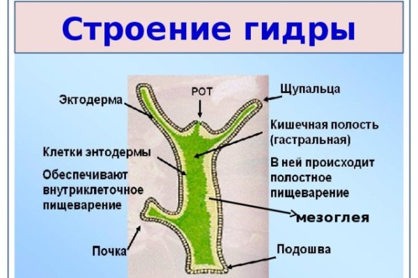 Кракен телеграмм магазин